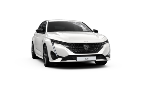 frilagad 308 Peugeot